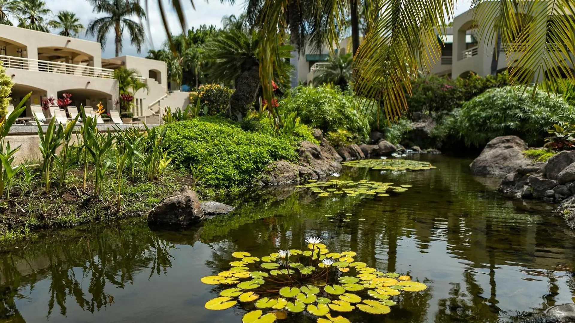 Palms At Wailea Two Bedrooms - Ocean View By Coldwell Banker Island Vacations